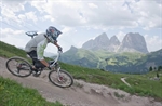 Fassa Bike Park 4