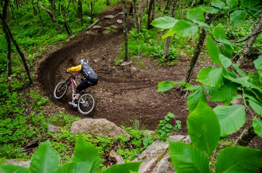 beech bike park