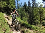 Huberalm Trail