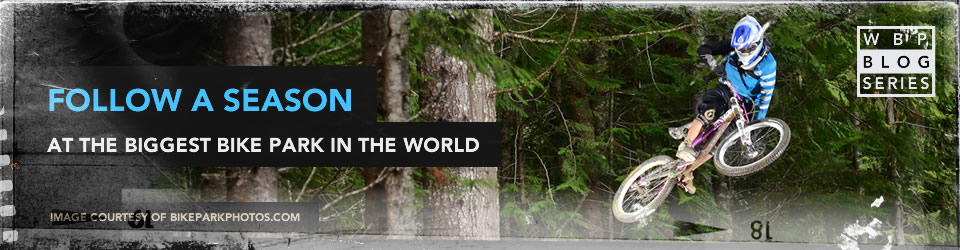 Whistler Diaries Banner