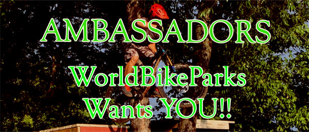 Ambassador 2018