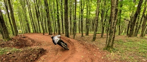 video snowshoe bike park