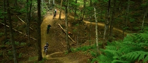 video kingdom trails