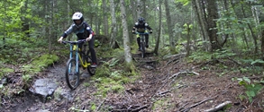 Upper Mountain Tech Trails