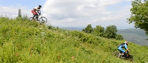 Riding the meadow