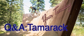 Q&A: Tamarack