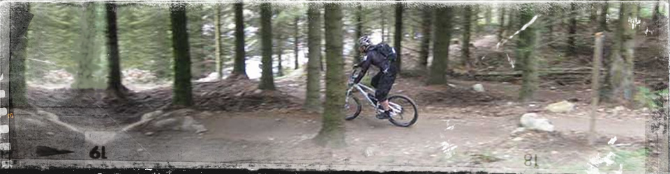 Coed Llandegla